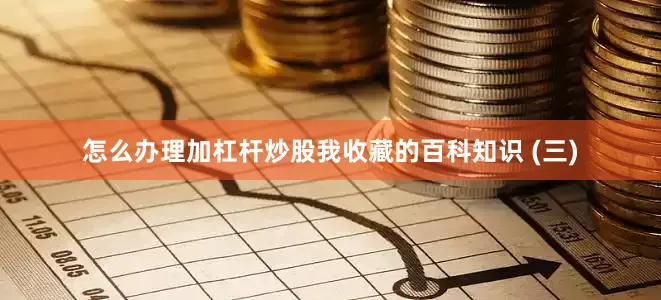 怎么办理加杠杆炒股我收藏的百科知识 (三)