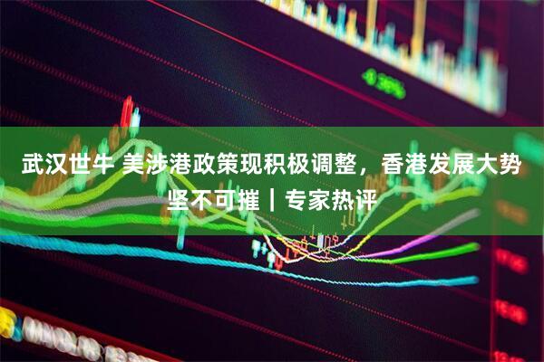 武汉世牛 美涉港政策现积极调整，香港发展大势坚不可摧｜专家热评